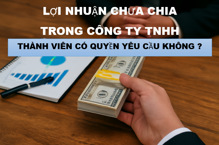 Lợi nhuận chưa chia trong công ty TNHH – Thành viên có quyền yêu cầu không?